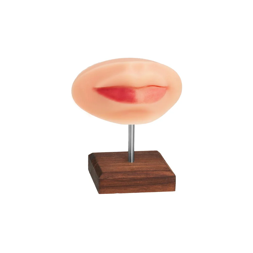 A Pound of Flesh PMU Practice Lips and Piercing Body Bit — Pick Color - Image 10