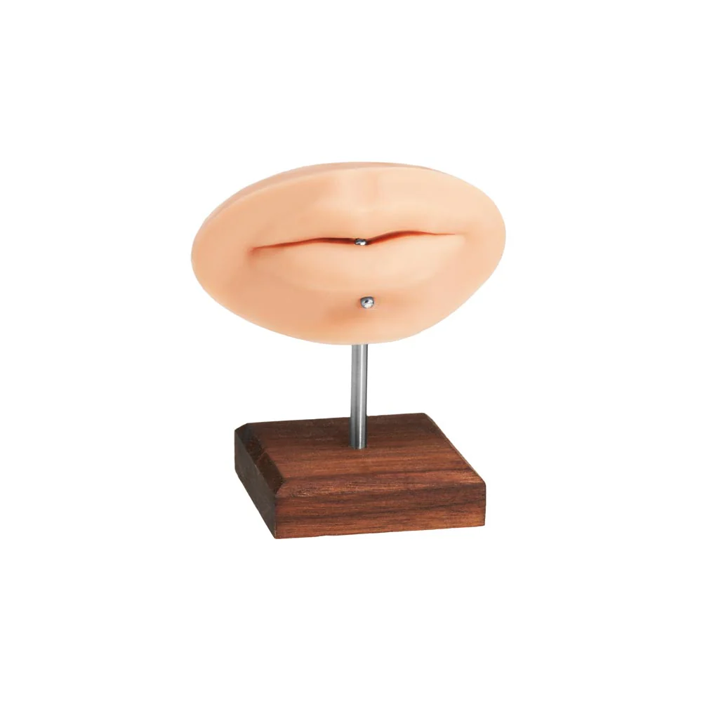 A Pound of Flesh PMU Practice Lips and Piercing Body Bit — Pick Color - Image 11