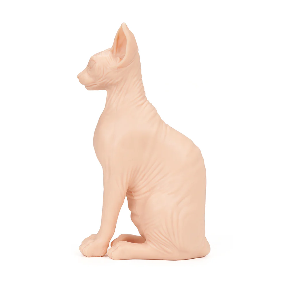 A Pound of Flesh Tattooable Naked Cat - Image 5