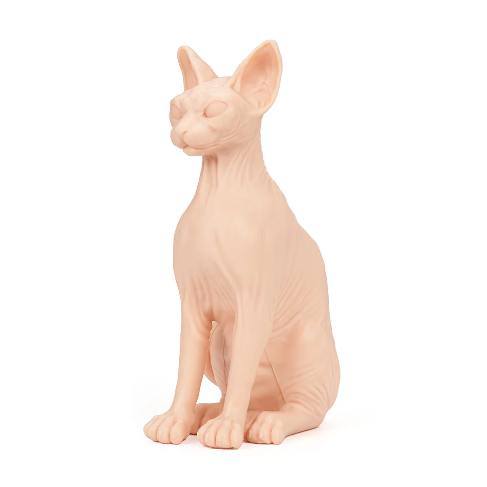 A Pound of Flesh Tattooable Naked Cat - Image 6
