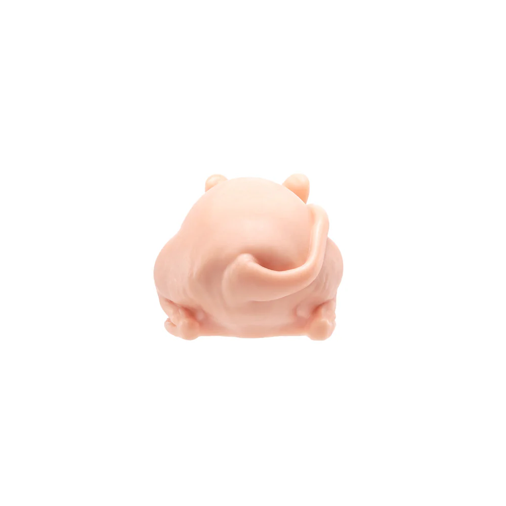 A Pound of Flesh Tattooable Naked Rat - Image 2