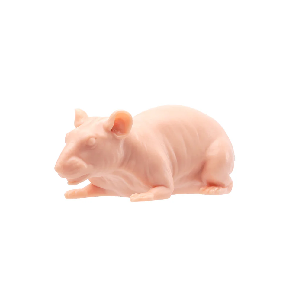 A Pound of Flesh Tattooable Naked Rat - Image 5
