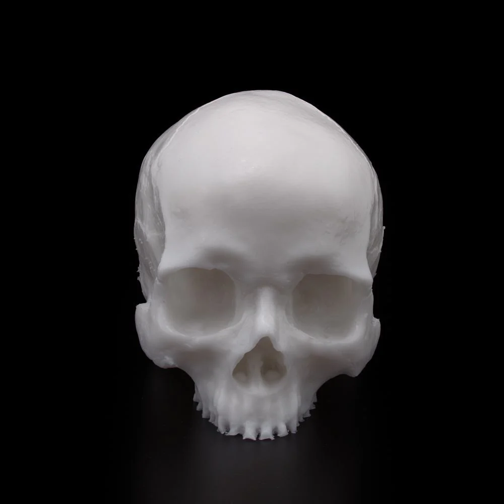 A Pound of Flesh Tattooable Synthetic Yorick Skull — Pick Color - Image 4