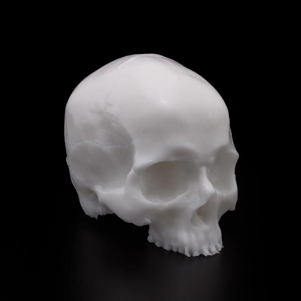 A Pound of Flesh Tattooable Synthetic Yorick Skull — Pick Color - Image 5