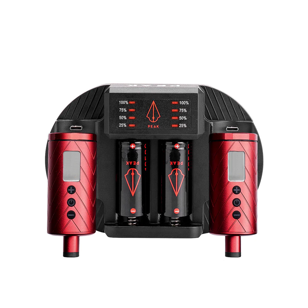 Peak Charging Dock + Forge Reloadable Battery Packs Bundle - Image 5