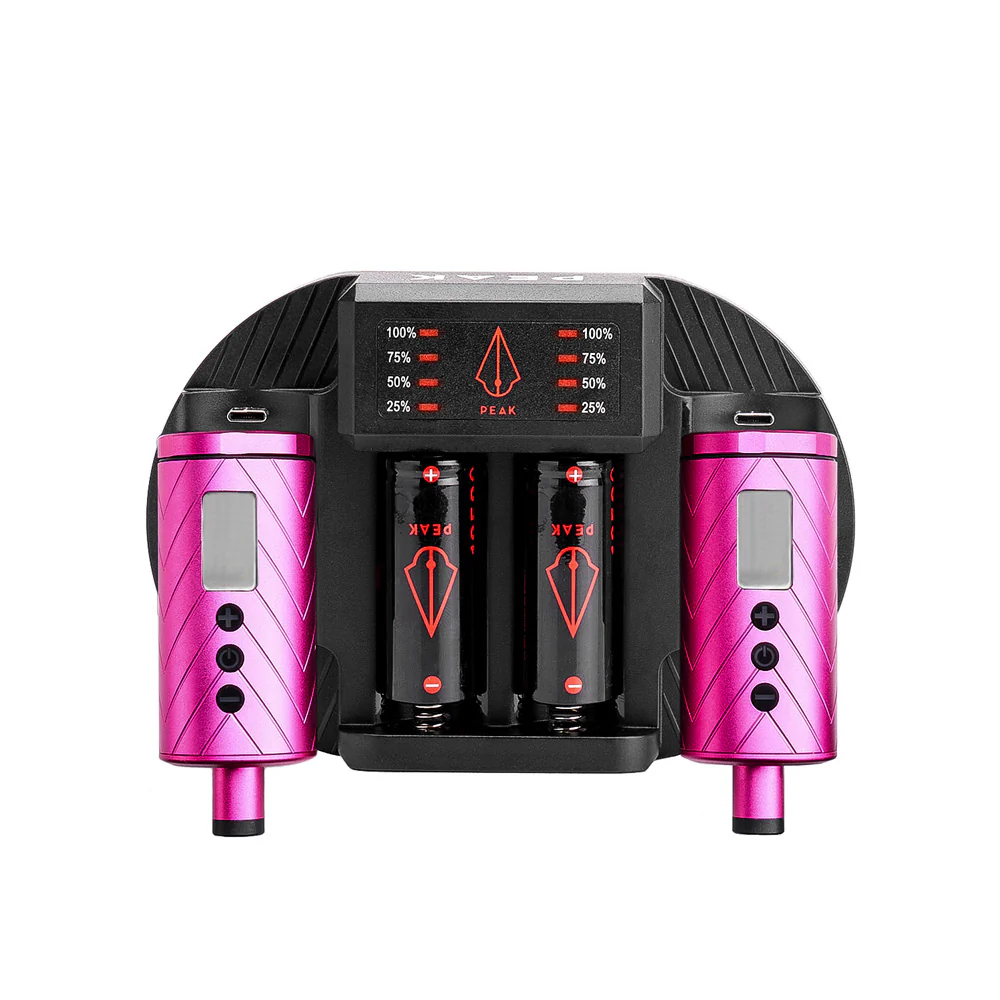 Peak Charging Dock + Forge Reloadable Battery Packs Bundle - Image 6
