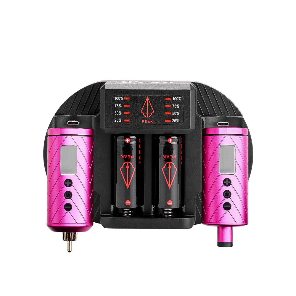 Peak Charging Dock + Forge Reloadable Battery Packs Bundle - Image 9