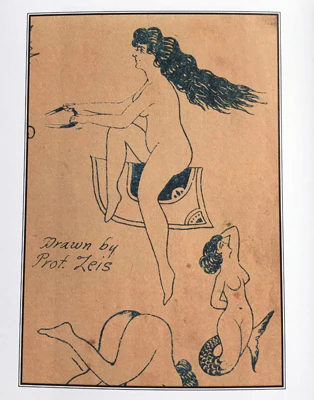 Drawn by Prof Zeis — Softcover Book - Image 5