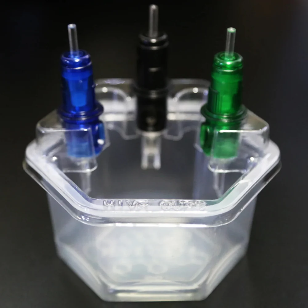 Hive Cups with Lids - Image 12