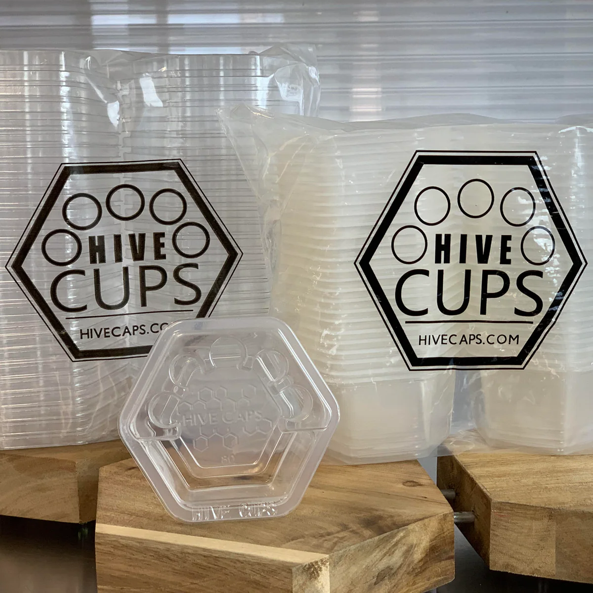Hive Cups with Lids - Image 6