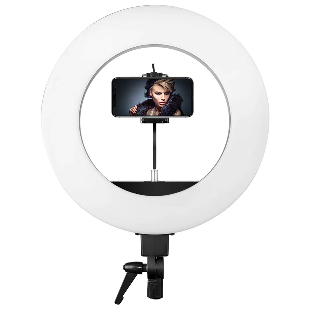 LED 18" Round Head Floor Lamp - Image 5
