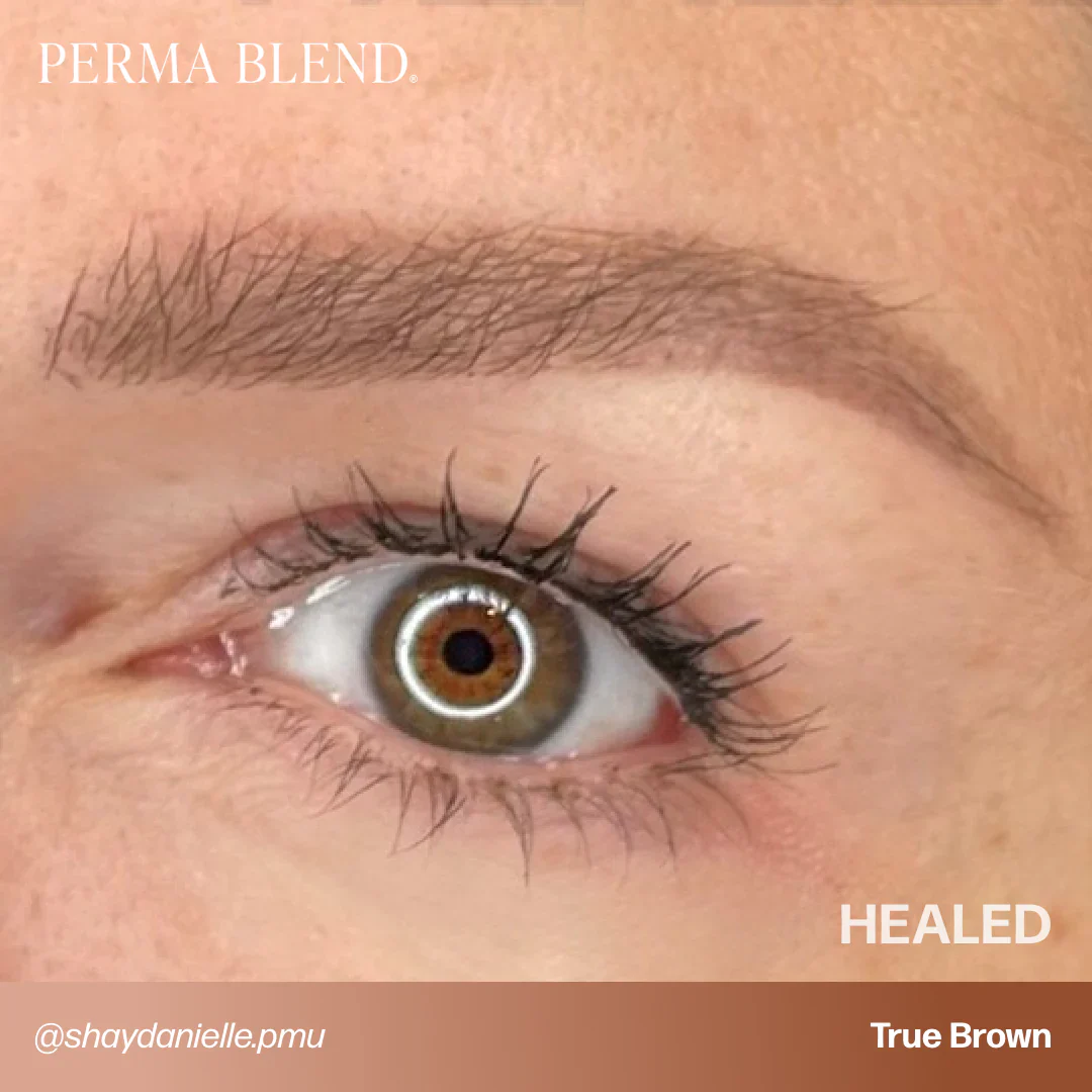 Sun-Kissed Palette Set — Perma Blend — 1/2oz - Image 12