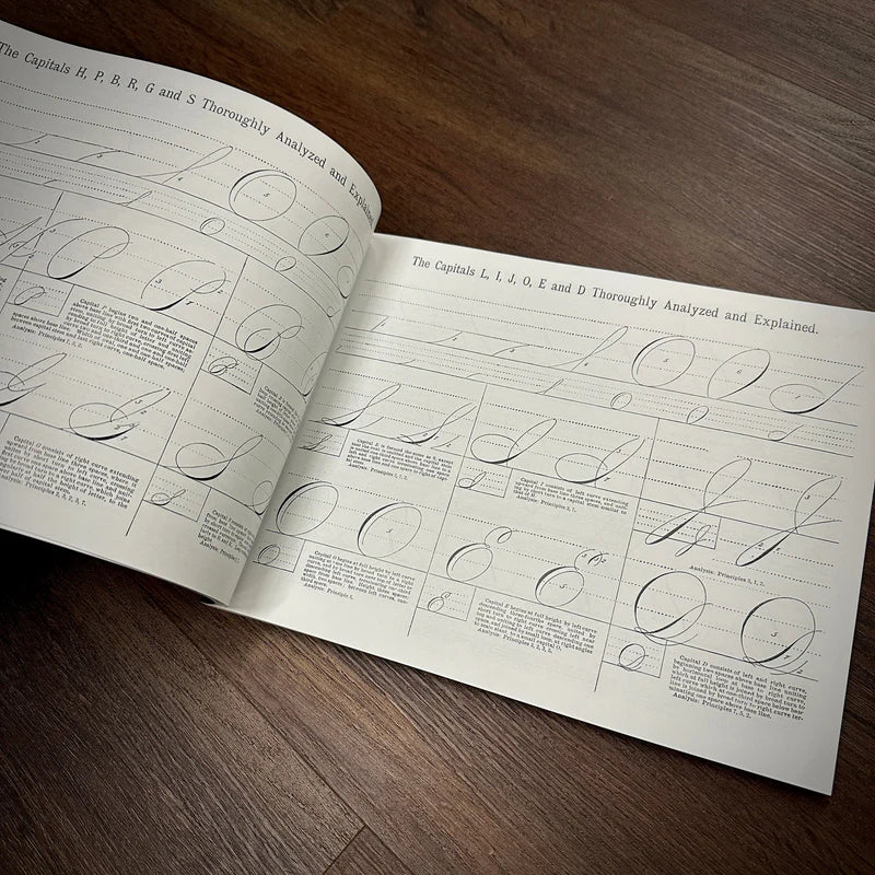 The Sign and Lettering Book — Softcover Book - Image 17