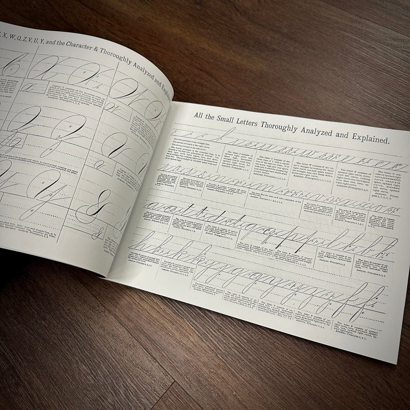 The Sign and Lettering Book — Softcover Book - Image 18
