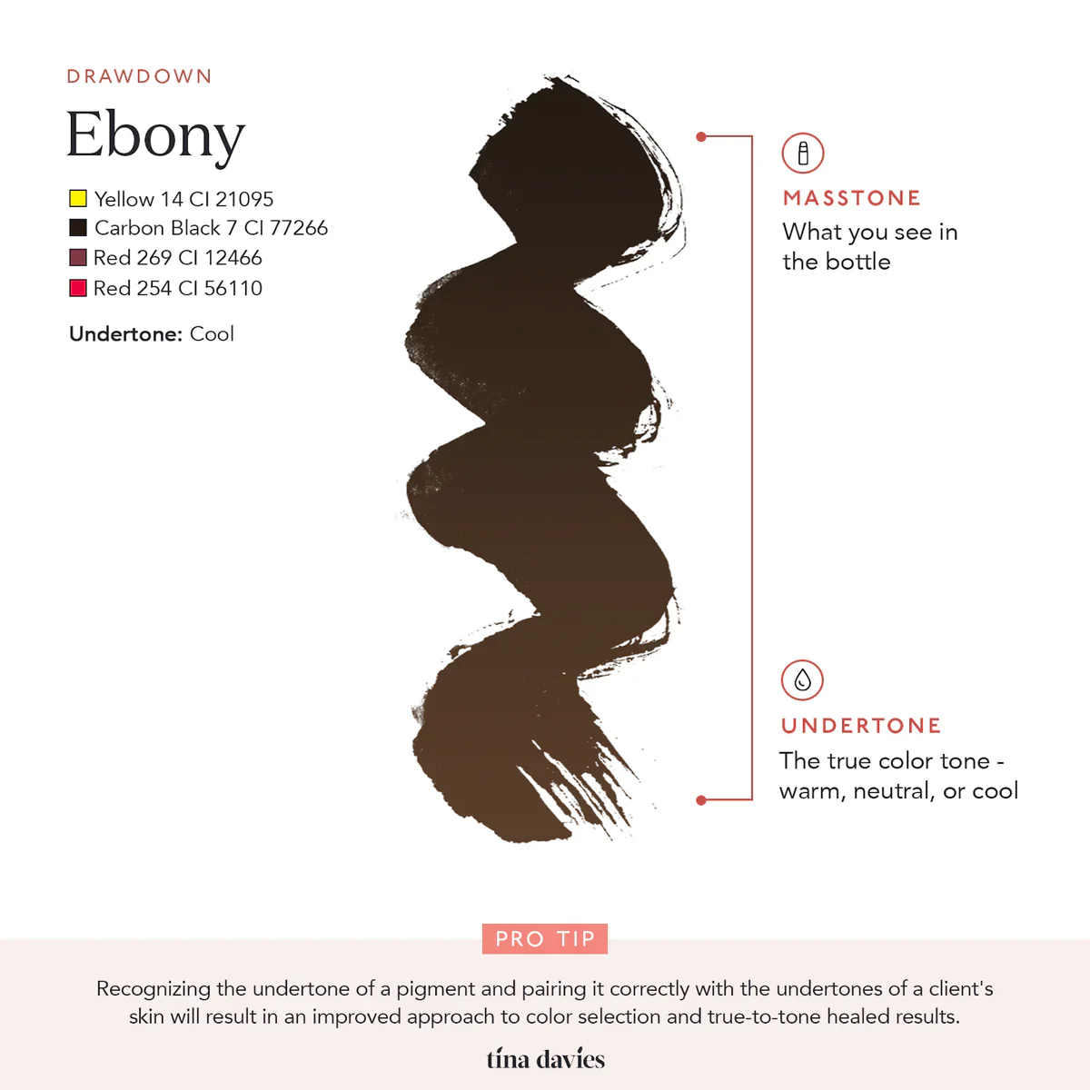 TINA DAVIES EYEBROW COLOR - EBONY - Image 2